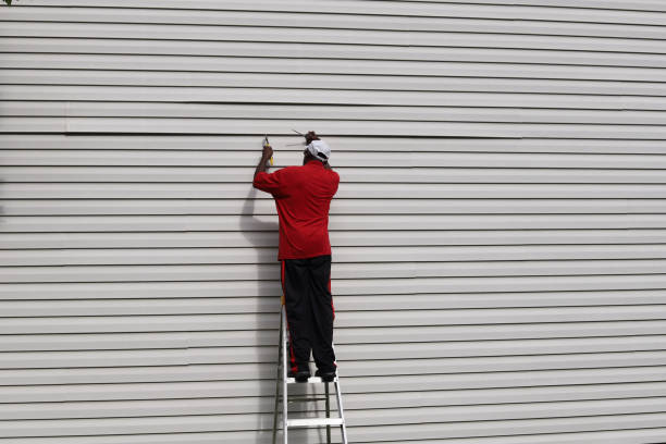 Best Aluminum Siding Installation  in Funny River, AK
