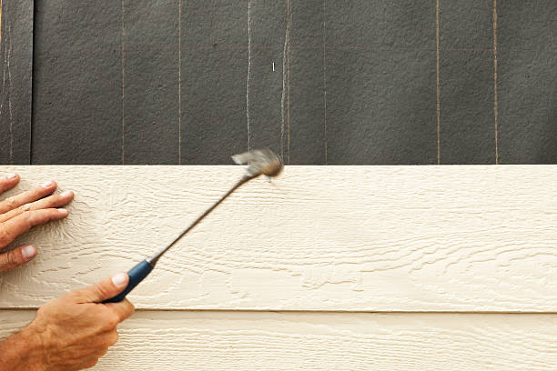  Funny River, AK Siding Pros